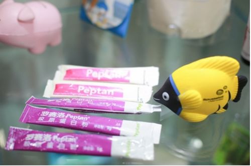 百貨會(huì) 探索日用消費(fèi)品與家居生活的創(chuàng)新舞臺(tái)